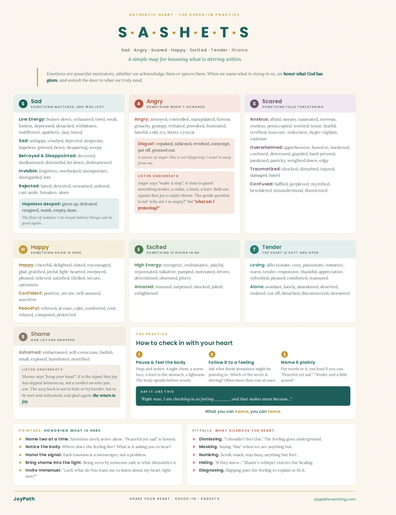 SASHETS emotions check-in chart from JoyPath showing seven emotion families with vocabulary words, a three-step practice for checking in with your heart, and pointers for honoring what is here